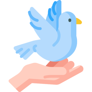 white dove in a hand