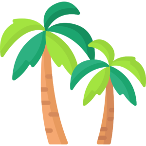 palm trees