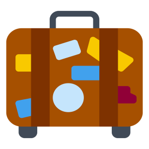 bolsa de viagem castanha