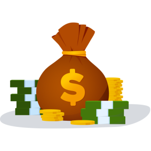 bolsa de dinero